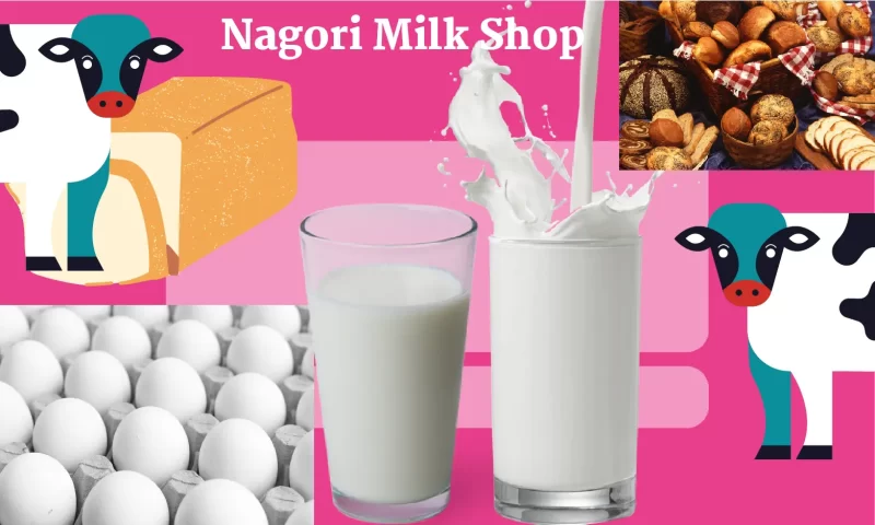 Nagori Milk Shop